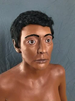 Dapper Cadaver Workshop Standing Dura Lucy Body