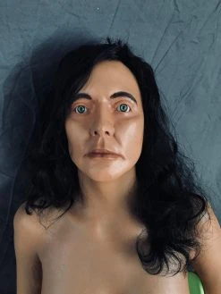 Dapper Cadaver Workshop Lucy Half Anatomical Dummy Stunt Dummies