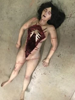 Dapper Cadaver Workshop Autopsy Meredith Body