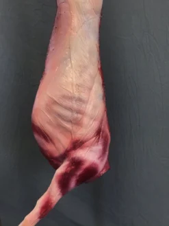 Dapper Cadaver Workshop Gory Butcher Shop Skinned Goat Half