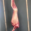 Dapper Cadaver Workshop Gory Butcher Shop Skinned Goat Half