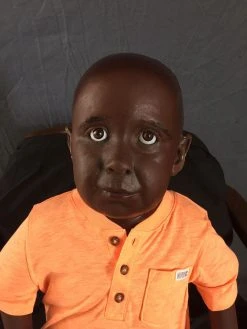 Dapper Cadaver Workshop Lifecast Prop Bodies Sitting Preschool Toddler Boy Body