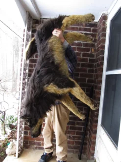 Rachael Lee Goodman Sled Dog Prop Dog & Cat Props