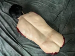 Dapper Cadaver Workshop Jack Torso With Head Gory Body Parts