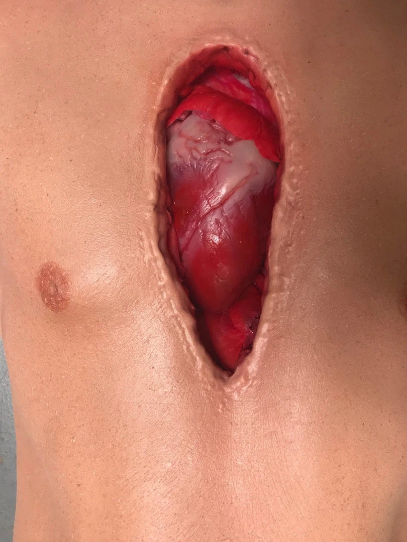 Dapper Cadaver Workshop Open Heart Surgery Joe Torso With Removable Silicone Heart 2 Dapper Cadaver Workshop Open Heart Surgery Joe Torso With Removable Silicone Heart