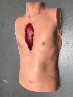 Dapper Cadaver Workshop Open Heart Surgery Joe Torso With Removable Silicone Heart