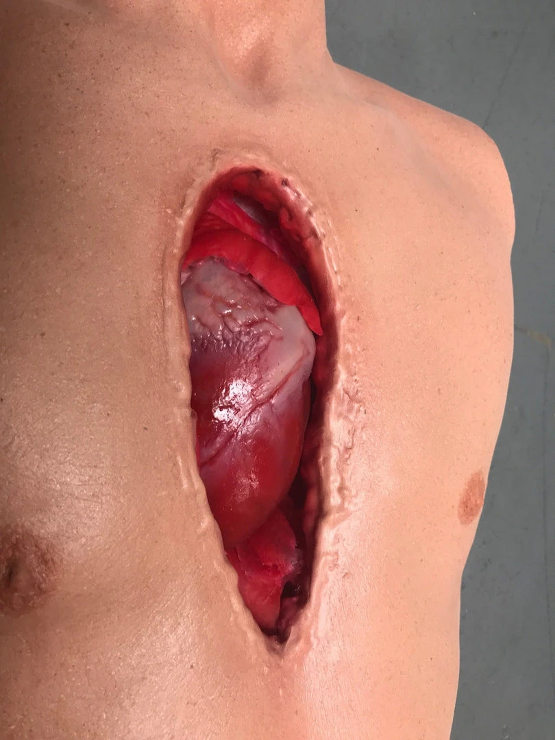 Dapper Cadaver Workshop Open Heart Surgery Joe Torso With Removable Silicone Heart 7 Dapper Cadaver Workshop Open Heart Surgery Joe Torso With Removable Silicone Heart