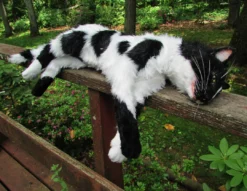 Rachael Lee Goodman Dog & Cat Props Cow Cat Prop - Special Order