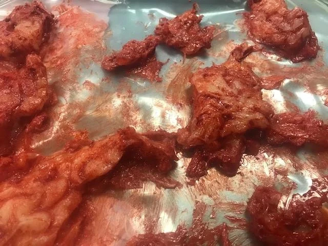 Dapper Cadaver Workshop Silicone Brain Chunks Prop Prop Organs 3 Dapper Cadaver Workshop Silicone Brain Chunks Prop Prop Organs