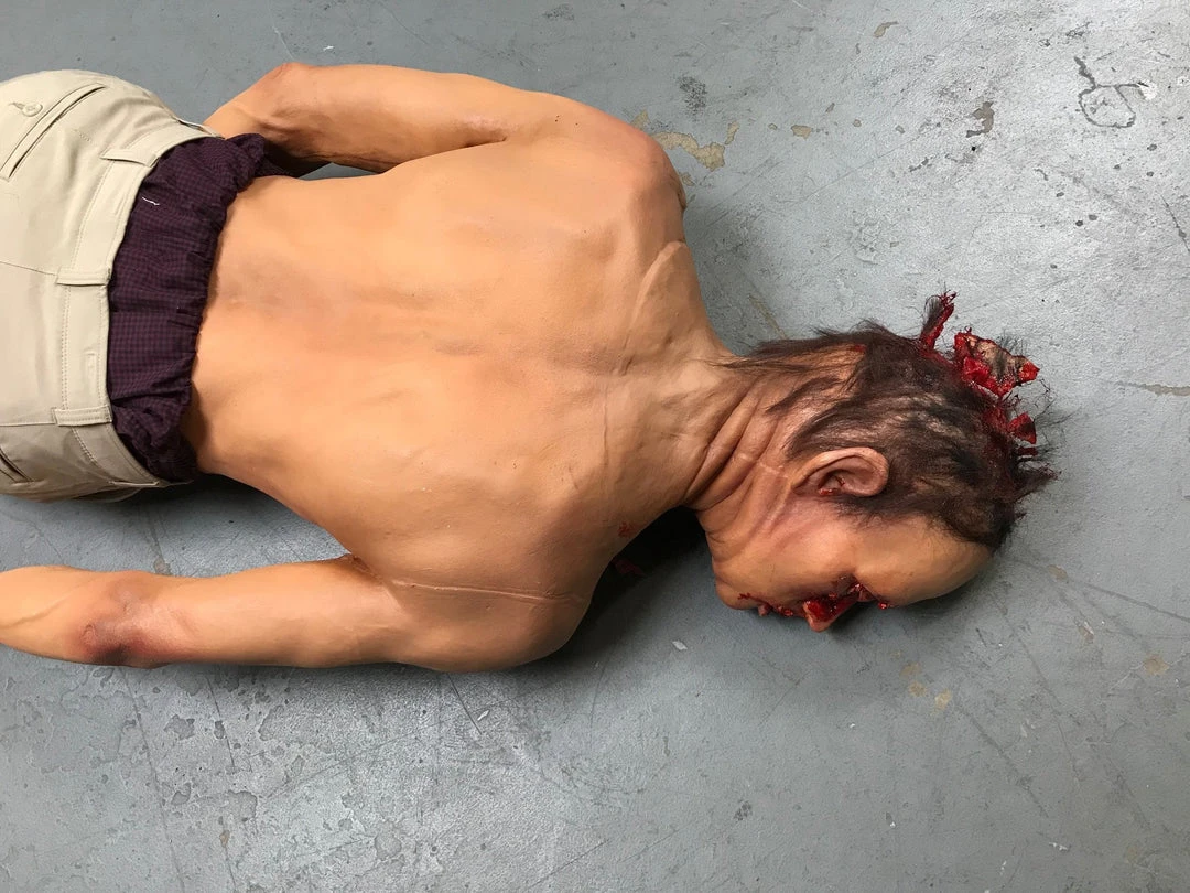 Dapper Cadaver Workshop Wounded Dura Gunshot Turner Half Anatomical Dummy 8 Dapper Cadaver Workshop Wounded Dura Gunshot Turner Half Anatomical Dummy