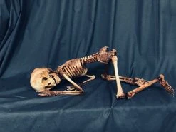 Dapper Cadaver Workshop Decayed & Mummy Skin And Bones Toddler Mummy 7 Dapper Cadaver Workshop Decayed & Mummy Skin And Bones Toddler Mummy