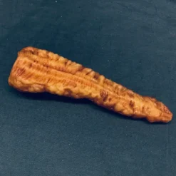 Dapper Cadaver Workshop Silicone Pancreas Prop Prop Organs