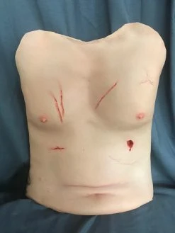 Dapper Cadaver Workshop Trauma Torso Skin Torsos And Half Bodies