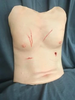 Dapper Cadaver Workshop Trauma Torso Skin Torsos And Half Bodies