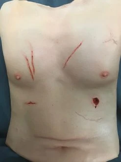 Dapper Cadaver Workshop Trauma Torso Skin Torsos And Half Bodies