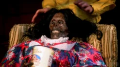 Dapper Cadaver Workshop Decayed & Mummy Mummified Remy Skull