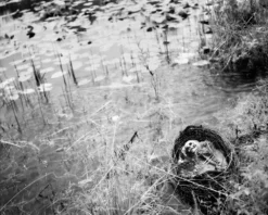 Dapper Cadaver Workshop Toddler Crime Scene Skeleton