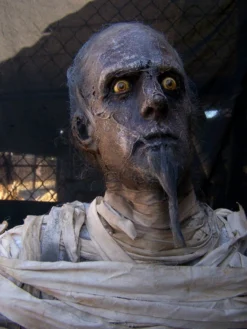 Dapper Cadaver Workshop New Haunt Props King Karnak Standing Mummy Body