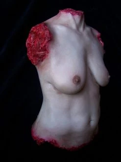 Dapper Cadaver Workshop Kristina Torso