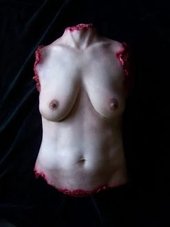 Dapper Cadaver Workshop Kristina Torso