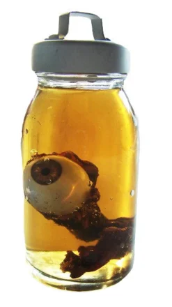 Dapper Cadaver Workshop Nerve Eye In Jar New Haunt Props