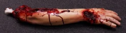 Dapper Cadaver Workshop Gory Body Parts Exposed Bone Colin Arm