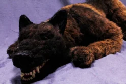 Rachael Lee Goodman Belgian Rigged Dog Prop Rental Animal Props