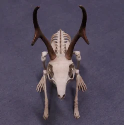 Mythic Articulations Jackalope Skeleton