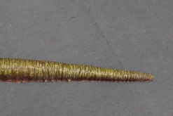 Dapper Cadaver Workshop Tentacle Prop