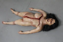 Dapper Cadaver Workshop Dura Autopsy Brittany With Pass-Through