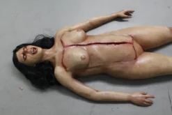 Dapper Cadaver Workshop Dura Autopsy Brittany With Pass-Through