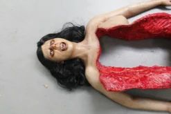 Dapper Cadaver Workshop Dura Autopsy Brittany With Pass-Through