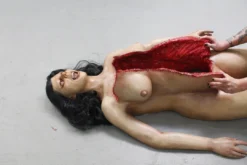 Dapper Cadaver Workshop Dura Autopsy Brittany With Pass-Through