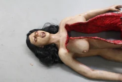 Dapper Cadaver Workshop Dura Autopsy Brittany With Pass-Through