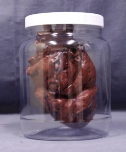 Dapper Cadaver Props Replica Specimen Jar, Human Heart New Haunt Props