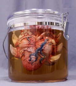 Dapper Cadaver Workshop Alien Heart Specimen Jar New Haunt Props