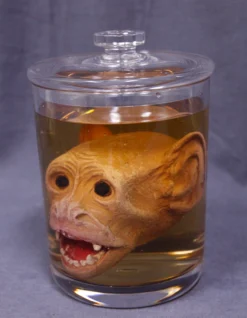 Dapper Cadaver Workshop Monkey Head Apothecary Specimen Jar
