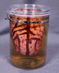 Dapper Cadaver Workshop Brain Apothecary Specimen Jar