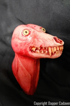 Dapper Cadaver Workshop Skinned Coyote Head Wild Animal Props