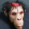 Dapper Cadaver Workshop Monkey Brains Head Wild Animal Props