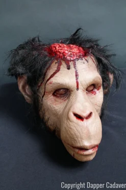 Dapper Cadaver Workshop Monkey Brains Head Wild Animal Props