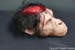 Dapper Cadaver Workshop Monkey Brains Head Wild Animal Props