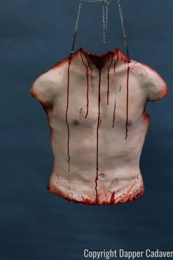 Dapper Cadaver Workshop Torsos And Half Bodies Human Torso Skin