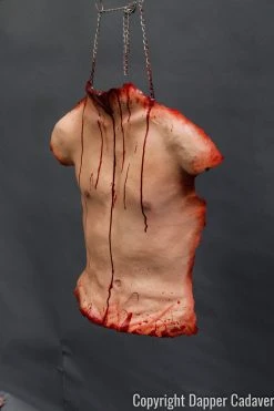 Dapper Cadaver Workshop Torsos And Half Bodies Human Torso Skin