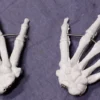 Skeletons And More Skeleton Hands Pair