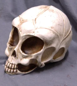 Pacific Trading Decorative Alien Skull Halloween Decor