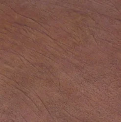 Dapper Cadaver Workshop New Haunt Props Flexible Human Skin Prop 12 Inch Square