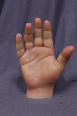 Dapper Cadaver Workshop Poseable Silicone Robust Hands