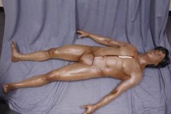 Dapper Cadaver Workshop Deluxe Autopsy Ben Body