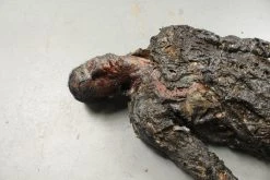 Dapper Cadaver Workshop Dura-Flex Burnt Alan Dummy Burn & Bomb